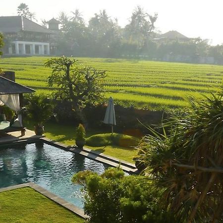Ngeluwungan Boutique Hostel Canggu Exterior foto