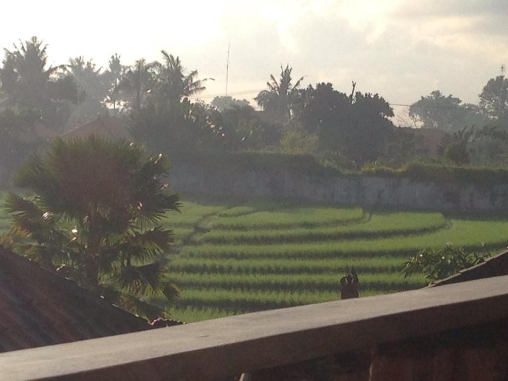 Ngeluwungan Boutique Hostel Canggu Exterior foto